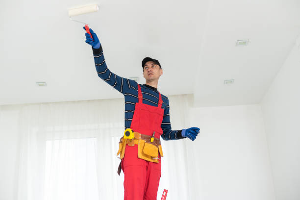 Best Fire-Damaged Drywall Repair  in Gardendale, TX